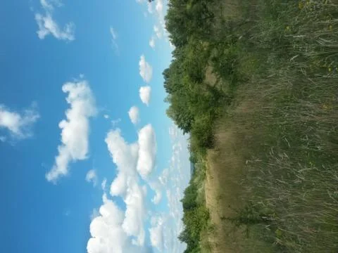 Fluffy clouds on the sky. cloudy day in the forest Stock Photos