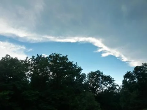 Fluffy clouds on the sky. cloudy day in the forest Stock Photos