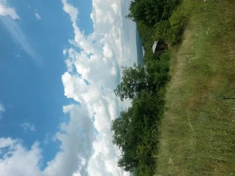 Fluffy clouds on the sky. cloudy day in the forest Stock Photos