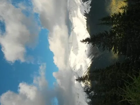Fluffy clouds on the sky. cloudy day in the forest Stock Photos