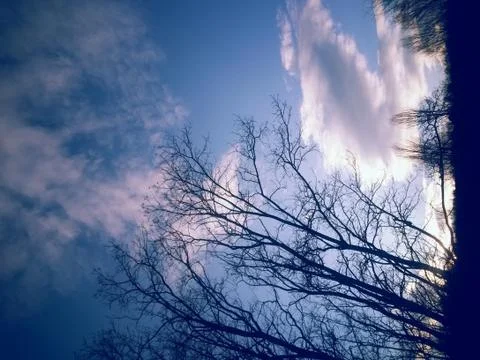 Fluffy clouds on the sky. cloudy day in the forest Stock Photos