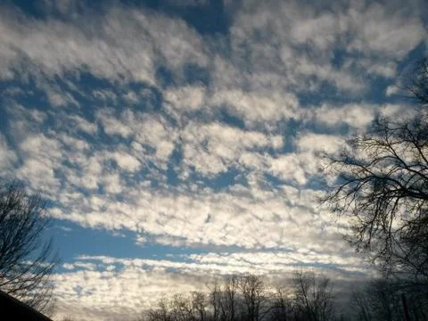 Fluffy clouds on the sky. cloudy day in the forest Stock Photos