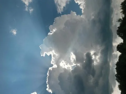 Fluffy clouds on the sky. cloudy day in the forest Stock-Fotos