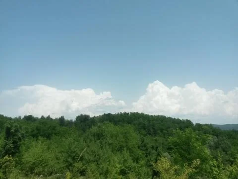Fluffy clouds on the sky. cloudy day in the forest Stock Photos