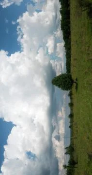 Fluffy clouds on the sky. cloudy day in the forest Stock Photos