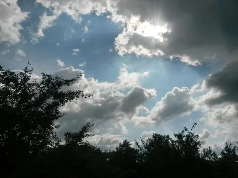 Fluffy clouds on the sky. cloudy day in the forest Stock Photos