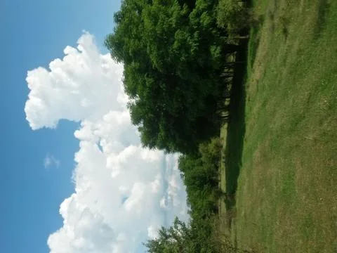 Fluffy clouds on the sky. cloudy day in the forest Foto stock