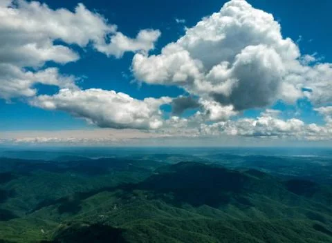Fluffy clouds on the sky. cloudy day in the forest Stock Photos