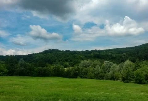 Fluffy clouds on the sky. cloudy day in the forest Stock Photos