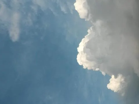 Fluffy clouds on the sky. cloudy day in the forest Stock Photos