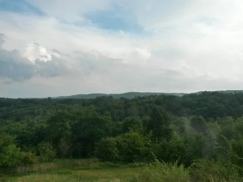 Fluffy clouds on the sky. cloudy day in the forest Foto stock