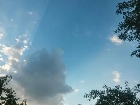 Fluffy clouds on the sky. cloudy day in the forest Stock Photos