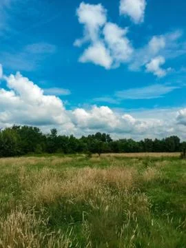 Fluffy clouds on the sky. cloudy day in the forest Stock Photos