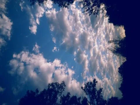 Fluffy clouds on the sky. cloudy day in the forest Stock Photos