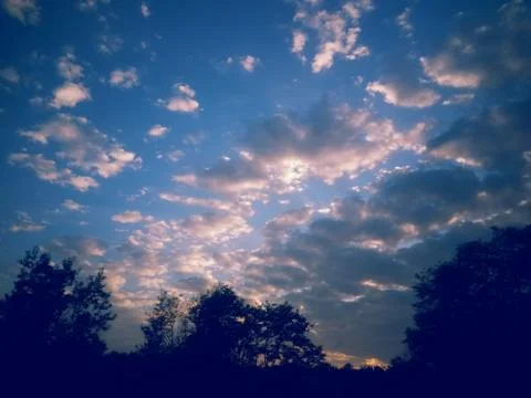 Fluffy clouds on the sky. cloudy day in the forest Stock Photos