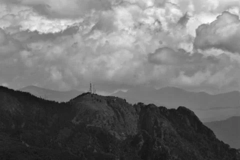 Fluffy clouds on the sky. cloudy day in the forest Foto stock