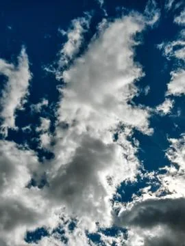 Fluffy clouds on the sky. cloudy day in the forest Stock Photos