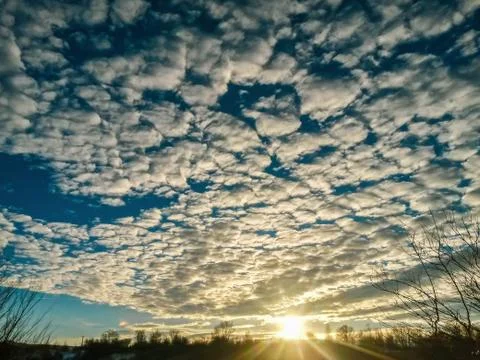 Fluffy clouds on the sky. cloudy day in the forest Stock Photos
