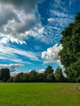 Fluffy clouds on the sky. cloudy day in the forest Stock Photos