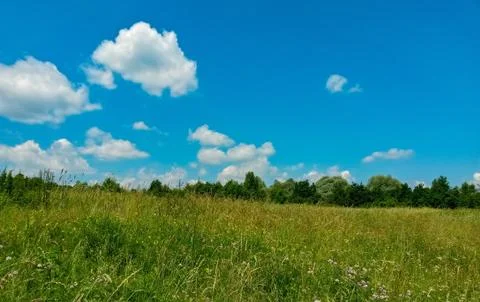 Fluffy clouds on the sky. cloudy day in the forest Stock Photos