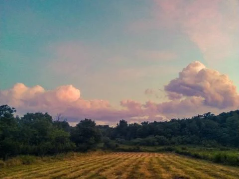 Fluffy clouds on the sky. cloudy day in the forest Stock Photos