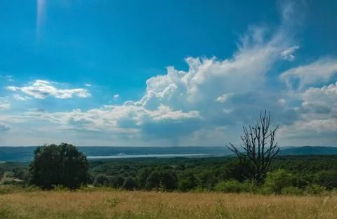 Fluffy clouds on the sky. cloudy day in the forest Stock Photos