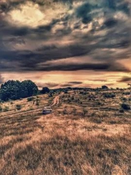 Fluffy clouds on the sky. cloudy day in the forest Stock Photos