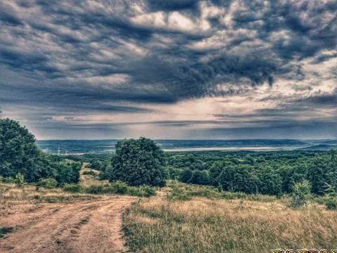 Fluffy clouds on the sky. cloudy day in the forest Stock Photos