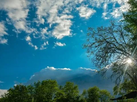 Fluffy clouds on the sky. cloudy day in the forest Stock Photos