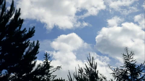 Fluffy clouds timelapse through green trees Stock Footage 68188811