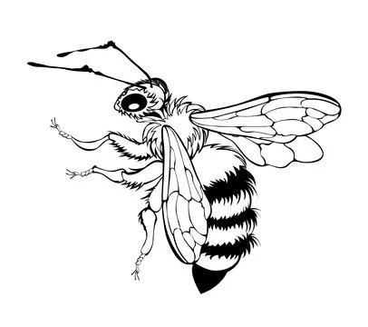 Fluffy contour bee Stock Illustration