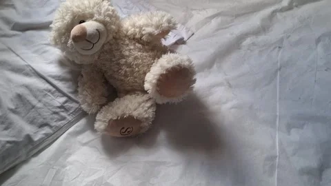 Fluffy cream teddy bear sitting on white bed sheets video footage Stock Footage 339505154