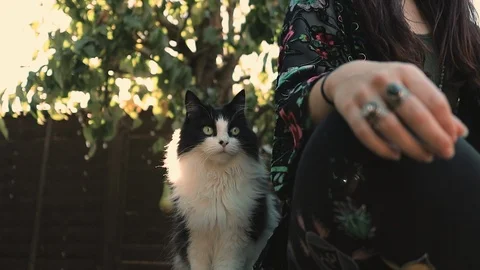 Fluffy cute cat sitting next to woman meditating Stock Footage 96219747