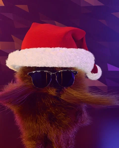 Fluffy dancer Stock-Footage 293509395