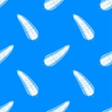 Fluffy feather pattern on white background. Vector illustration. Stock Illustration