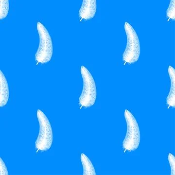 Fluffy feather pattern on white background. Vector illustration. Stock Illustration
