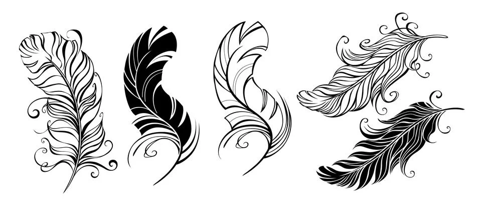 Fluffy feathers Stock Illustration
