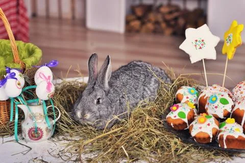 Fluffy foxy rabbit   with Easter eggs Stock-Fotos