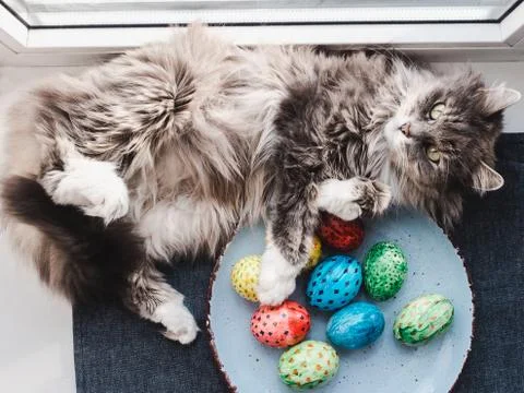 Fluffy, gray cat and Easter eggs Stock Photos