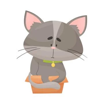 Fluffy Gray Colored Cat Sitting Inside Carton Box Vector Illustration Stock Illustration