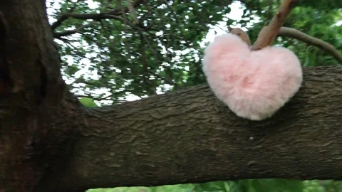 Fluffy heart Stock Footage 160672832