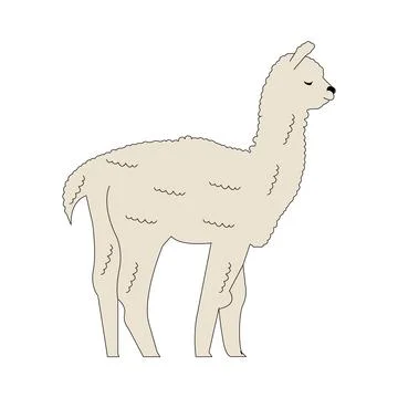 Fluffy lama on white Stock Illustration