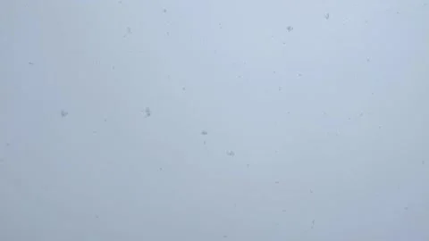 Fluffy large snowflakes slowly fall from the sky. Stock Footage 238481508
