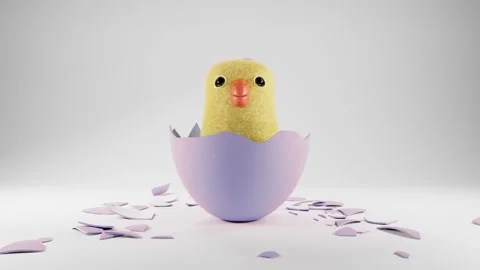 Fluffy little chick hatched from easter egg on white background. Happy Easter Stock Footage 266141408
