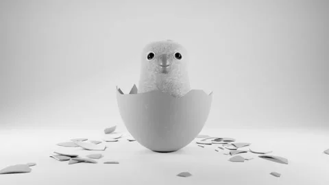 Fluffy little chick hatched from easter egg. Black and white theme. Happy Easter Video stock 267559068
