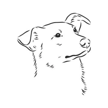 Fluffy mongrel dog vector hand drawing illustration in black color isolated o Stock Illustration