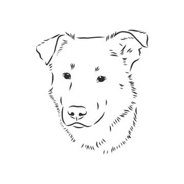 Fluffy mongrel dog vector hand drawing illustration in black color isolated o Stock Illustration