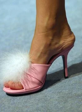 Fluffy pompon Stock Photos