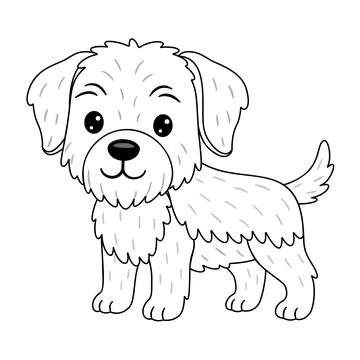 Fluffy puppy Slovakian Pointer or similar breed standing and looking friend.. Stock Illustration