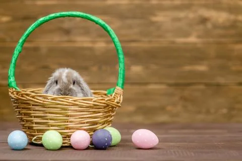 Fluffy rabbit in basket with Easter eggs on wooden background. Empty space fo Stock Photos